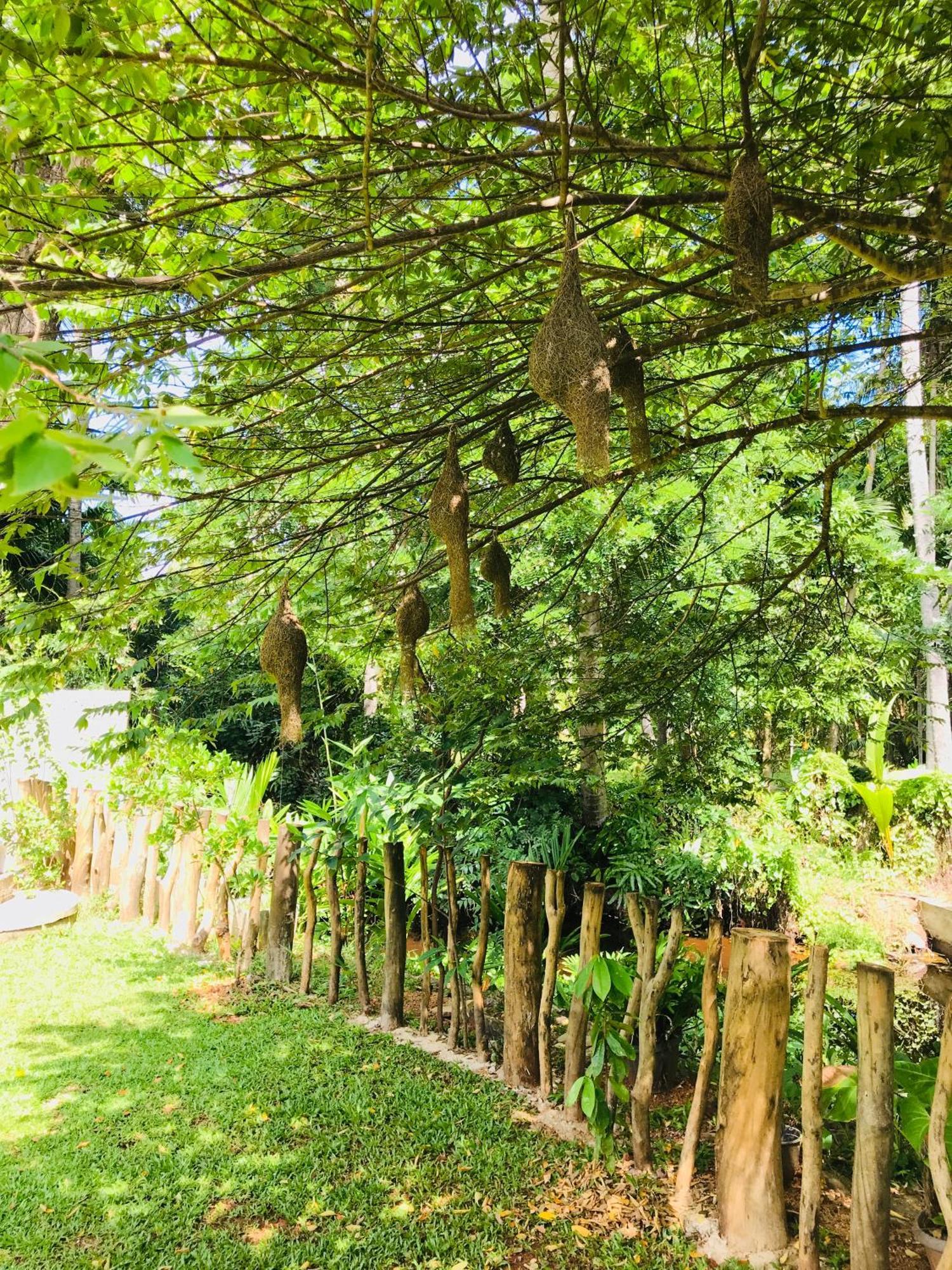 Ruwinsons Canal Garden Anuradhápura Exteriér fotografie